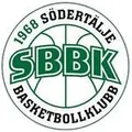 南泰利耶国王